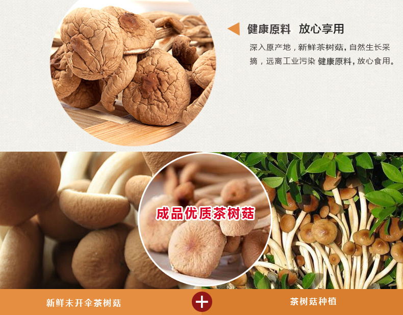 瓊彬茶樹(shù)菇 不開(kāi)傘幹貨剪根食用菌菇200克-第4張-詳情圖片