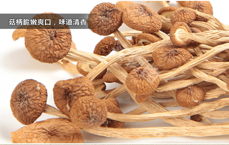 瓊彬茶樹(shù)菇 不開(kāi)傘幹貨剪根食用菌菇200克-第3張-詳情圖片